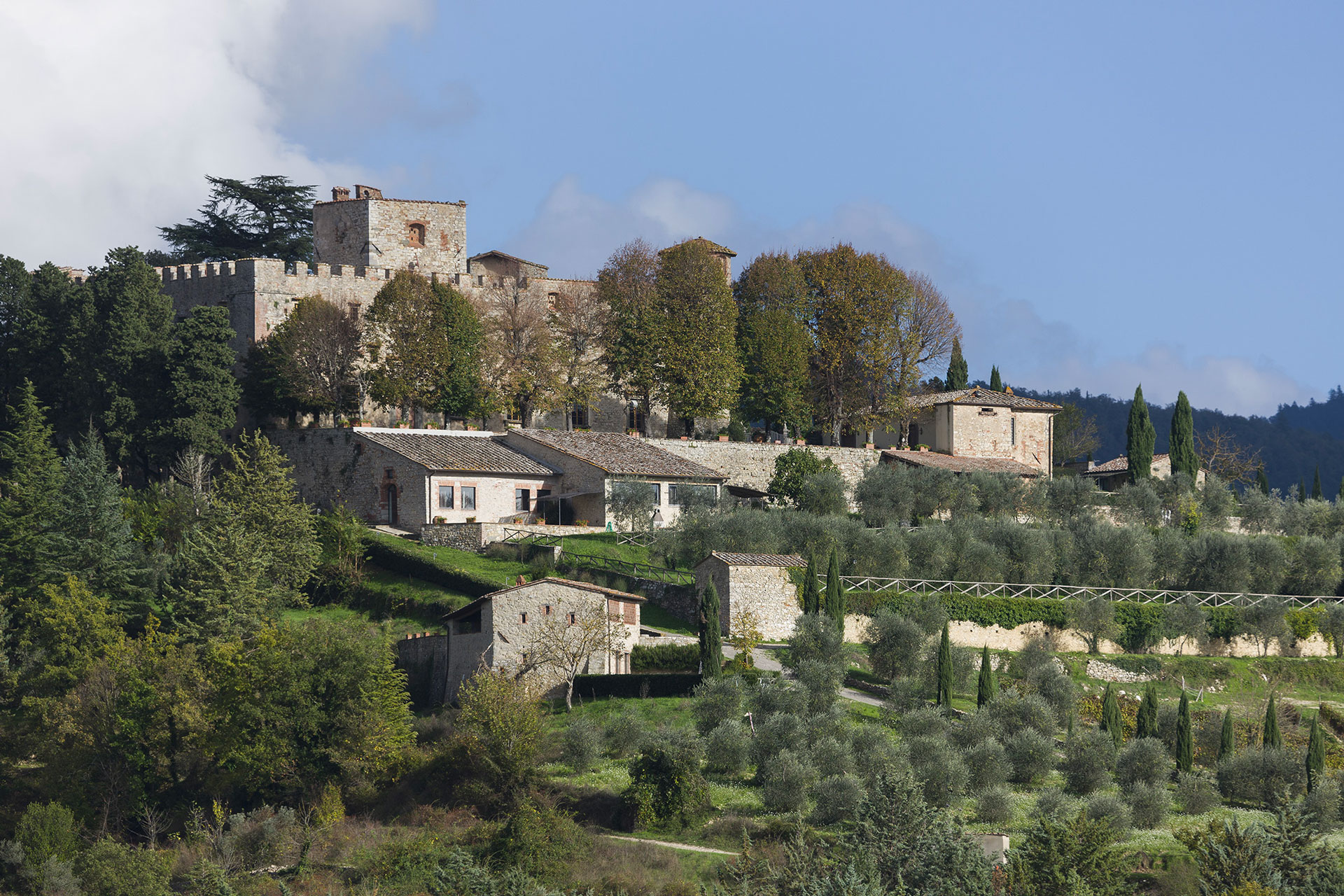 Castello di Meleto presenta le selezioni di vigna