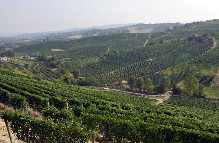 Prosecco patrimonio Unesco