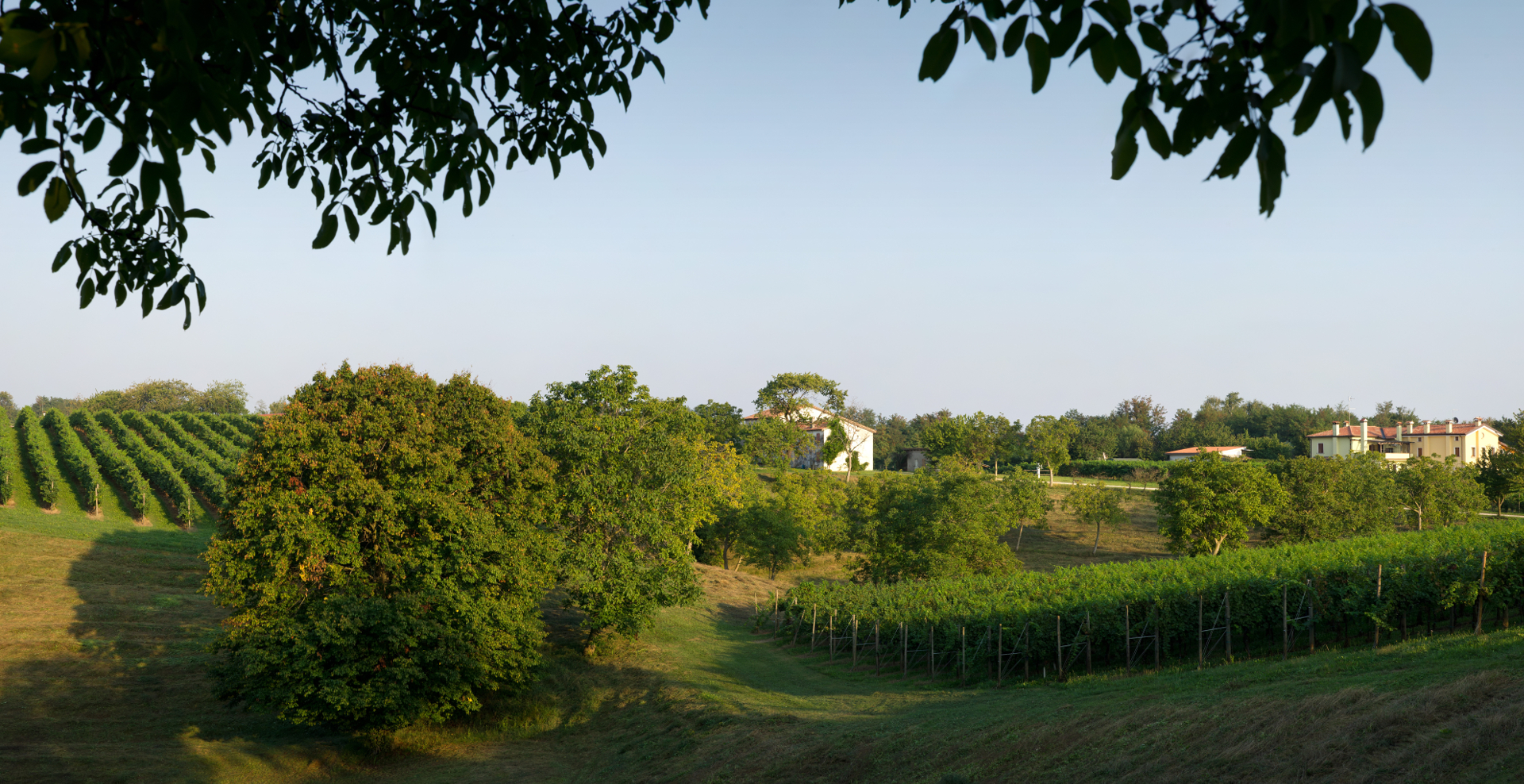 Montelvini porta a Verona i cento orizzonti dell’Asolo Prosecco Superiore docg