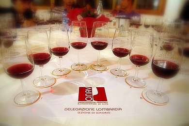 Onav Lombardia: la cultura del vino passa attraverso la degustazione