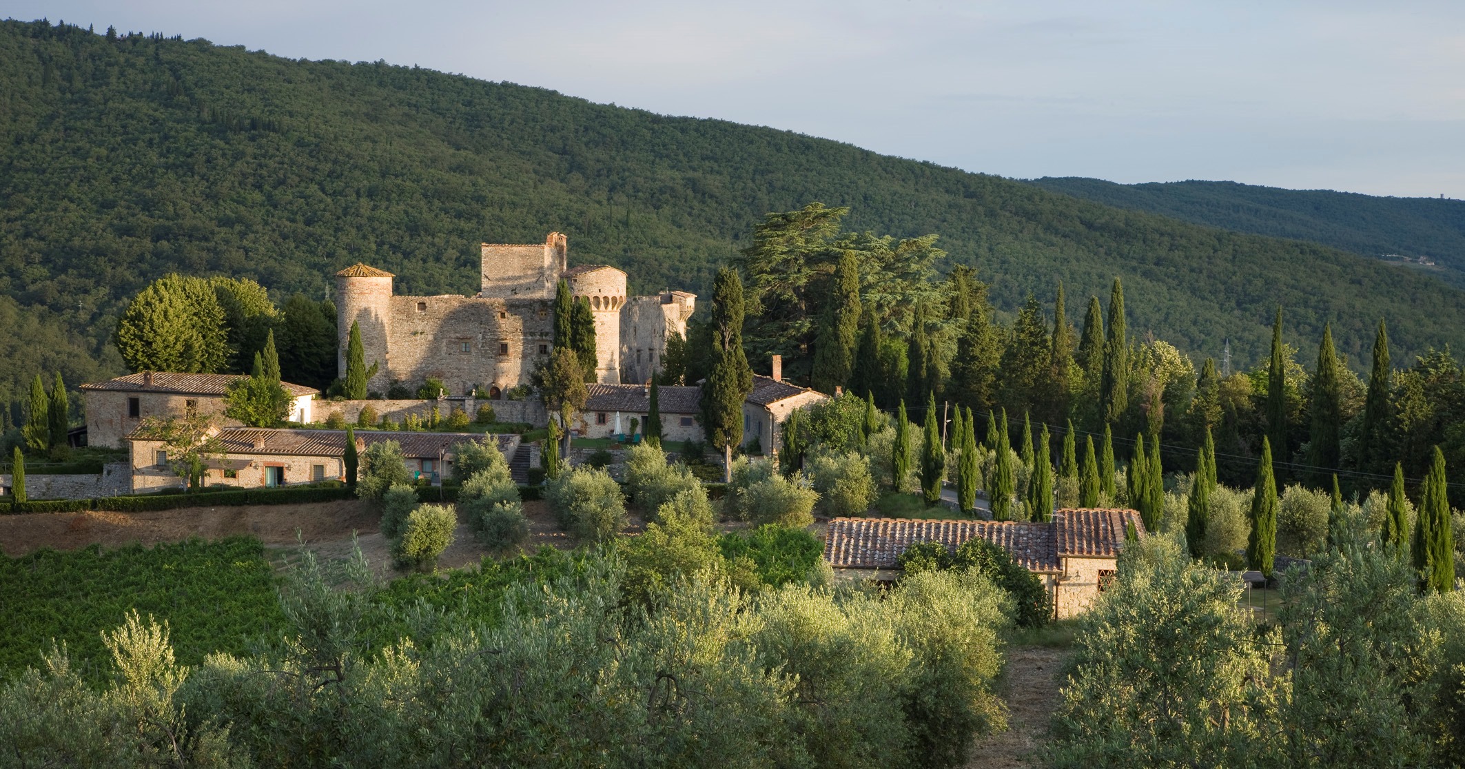 Castello di Meleto e le affinità elettive