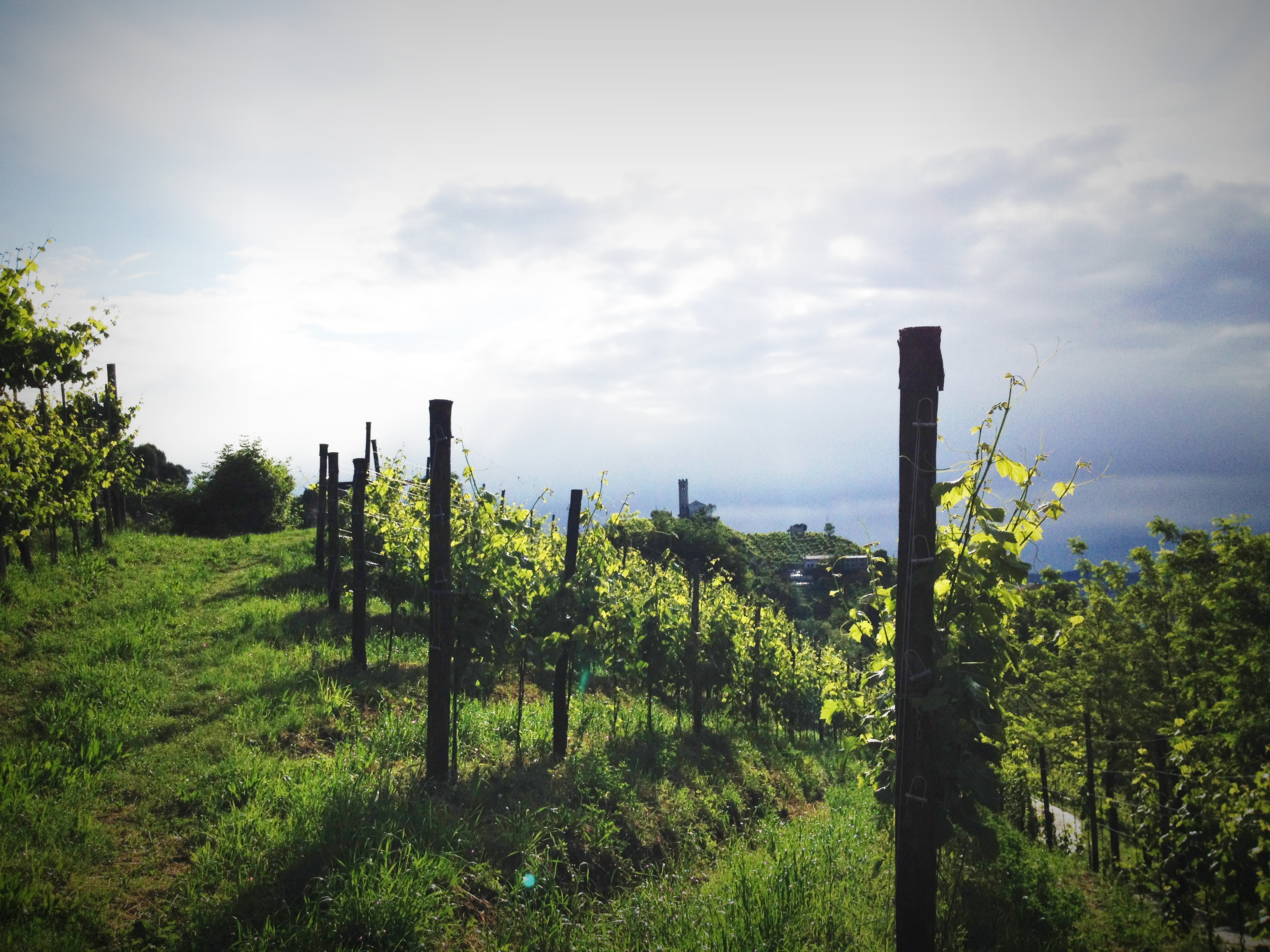 MONGARDA: DAL 3 AL 5 MARZO AL LIVE WINE DI MILANO TRA BOLLICINE COLFONDO E ARTIGIANALITÀ