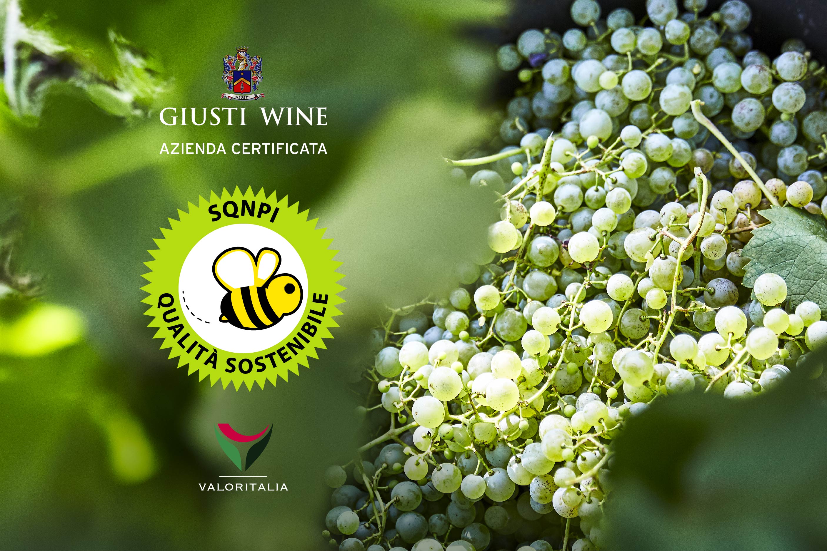 GIUSTI WINE SEMPRE PIÙ GREEN