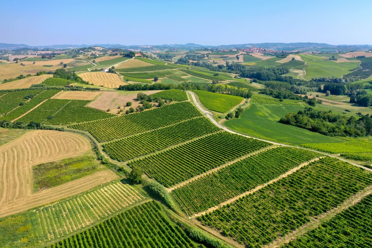 IL RUCHÈ PUNTA SUL MARKETING TERRITORIALE